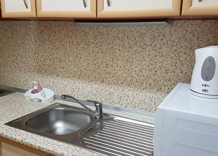 Апартамент Tashevi *