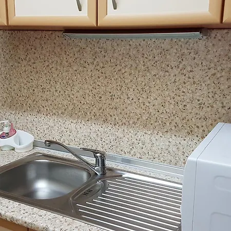 Apartment Tashevi *