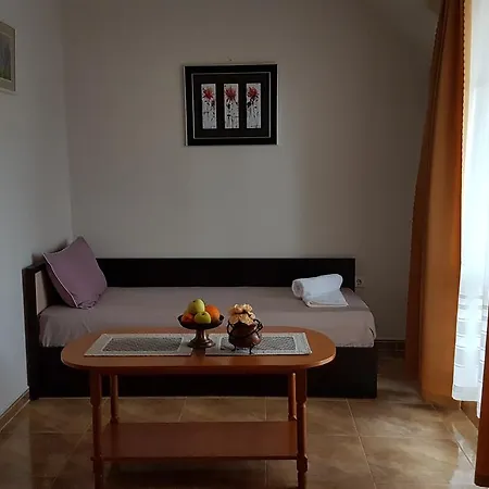 Apartment Tashevi
